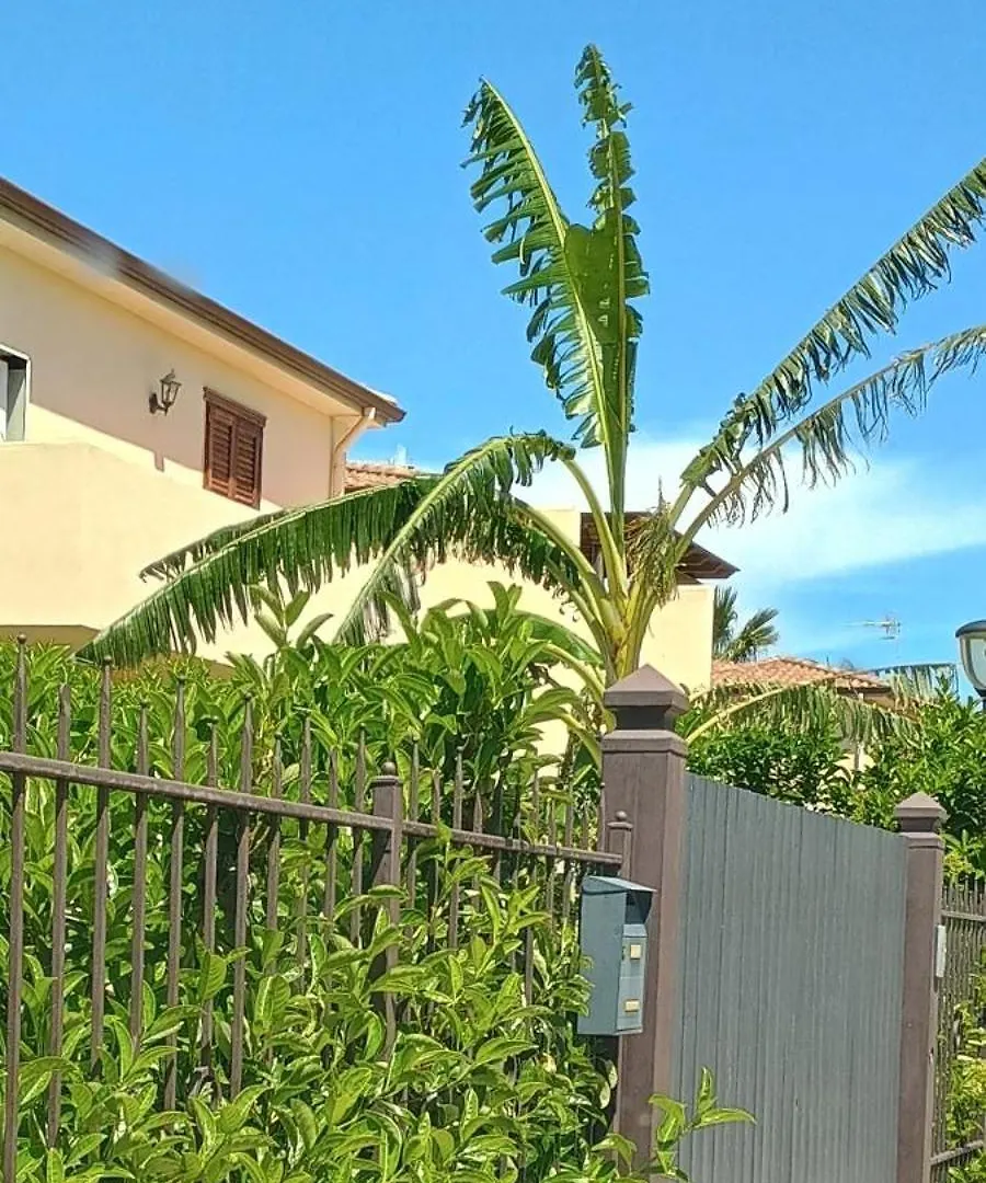 I Giardini Del Mare Casa Vacanza Buonfornello Сasa de vacaciones